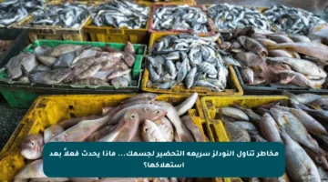 مخاطر تناول النودلز سريعة التحضير لجسمك… ماذا يحدث فعلاً بعد استهلاكها؟